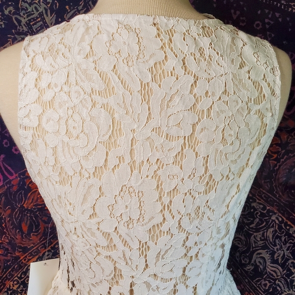 NWT Tobi Off White Lace Sleeveless Deep-V Sheer Back Mini Dress Womens Medium - Picture 9 of 15